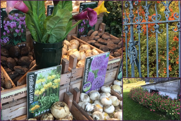 Blog Collage 1 [41760].jpg