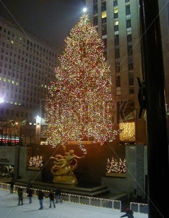 861445 NY Rockefeller Christmas Tree (2)