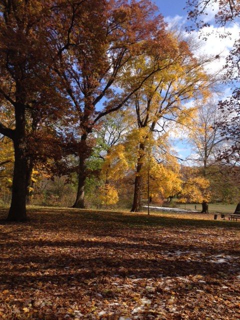 Prospect Park 4