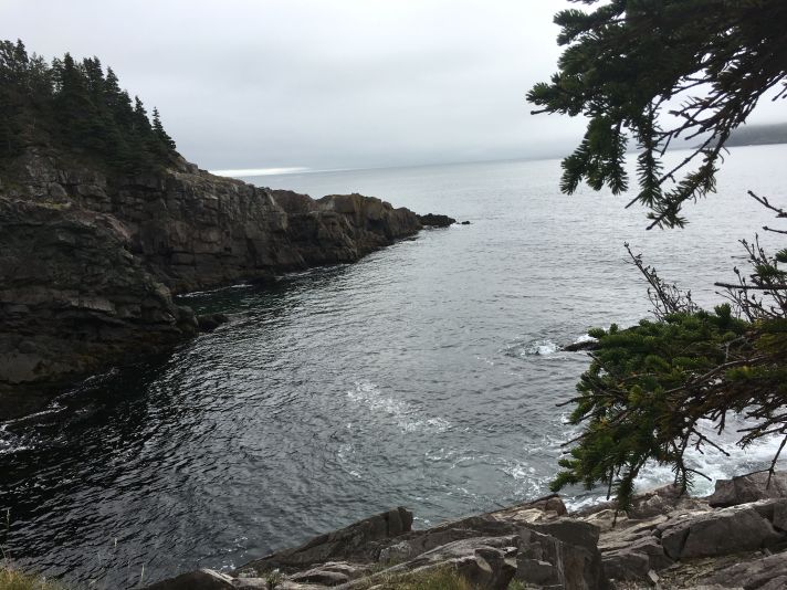 East Coast trail 1